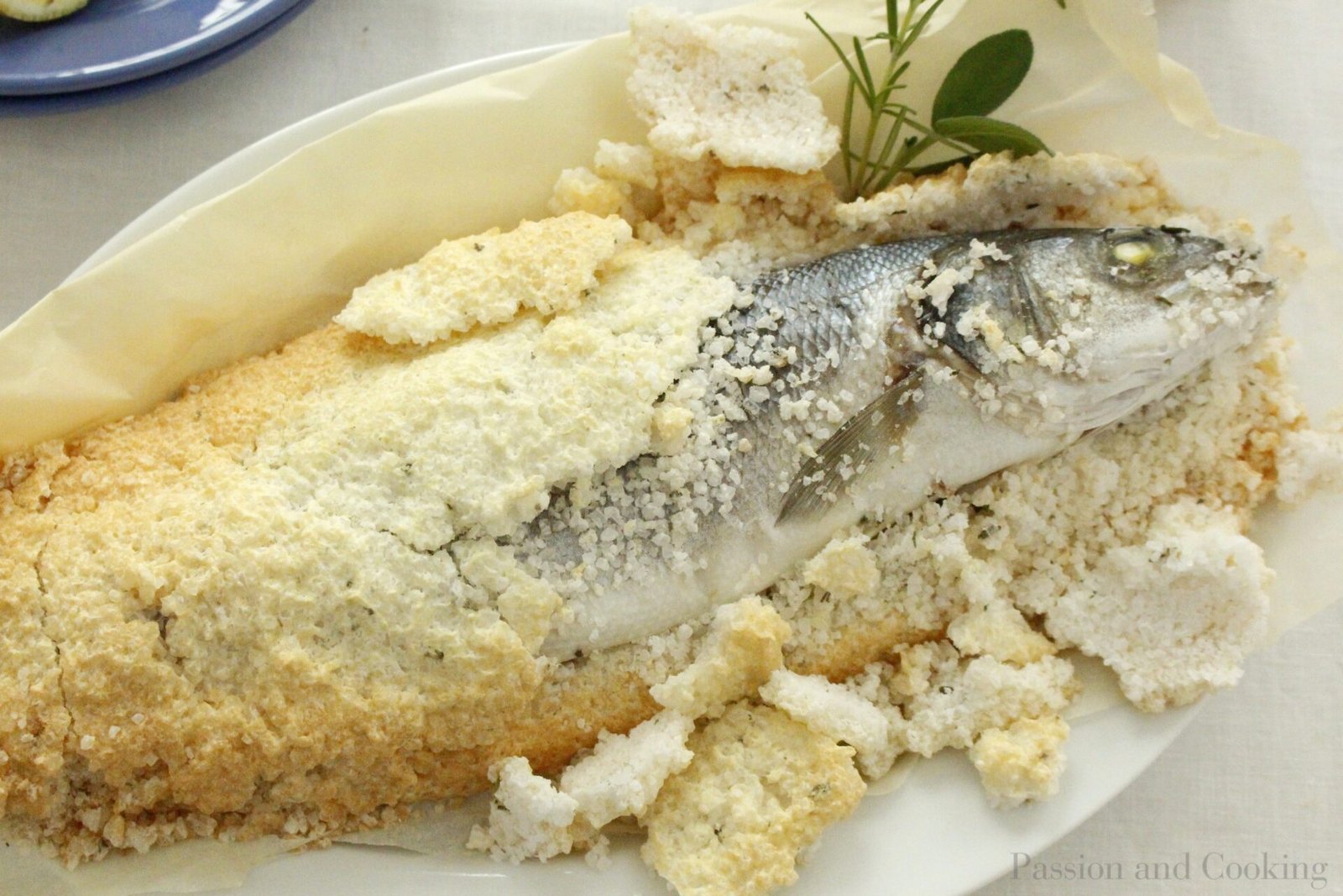 branzino al sale corretta mg 3179.jpg branzino al sale corretta mg 3179.jpg